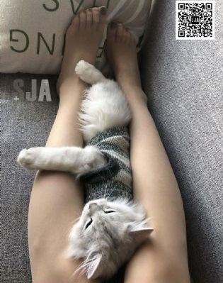 妈妈的朋友在线看_免费观看完整版下载